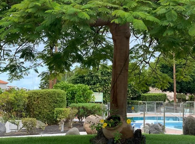 Mango Costa Adeje (Tenerife)